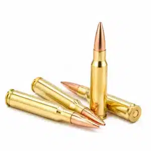 308 Winchester 165gr. BT Soft Point