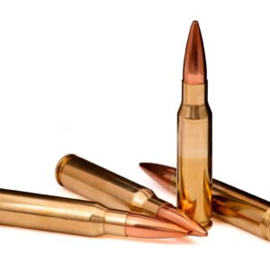 308 Winchester 168gr. BTHP Match 20rds