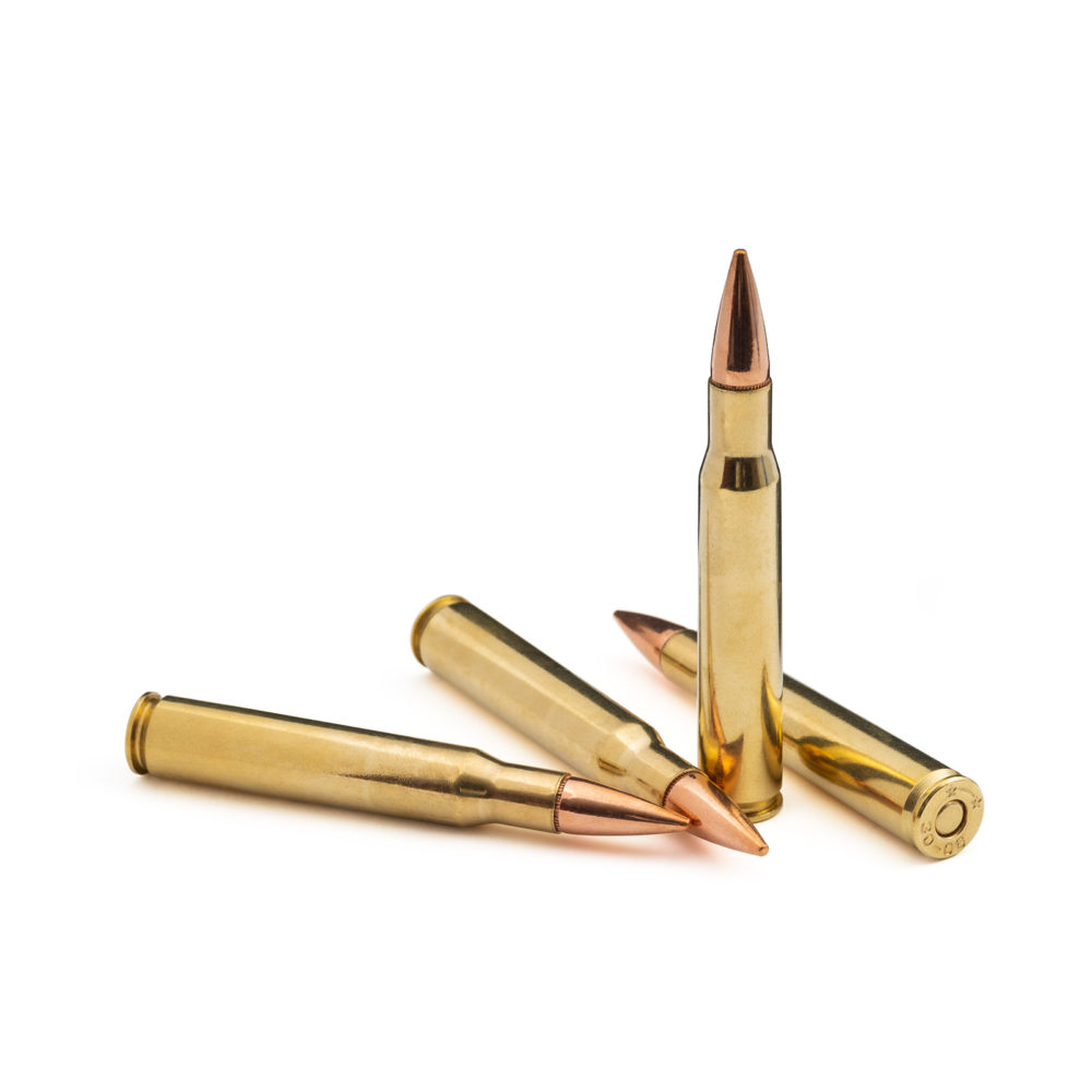 500 Auto Max 350gr. JHP | Steinel Ammunition Co.