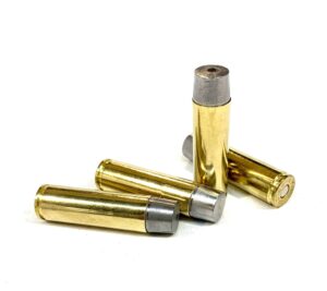 440gr WFNGC 500 Auto Max Ammo