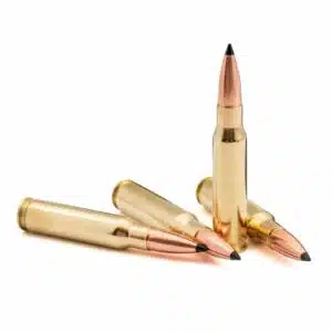 308 Winchester 168gr Ballistic Tip SCHP