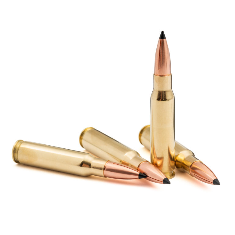 308 Winchester 168gr Ballistic Tip SCHP