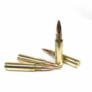 7.5 x 55 Swiss 175gr FMJBT (GP11)