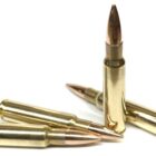 Four rounds of 7.5 Swiss GP11 ammo from Steinel