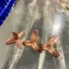 Expanded 425 450 Subsonic