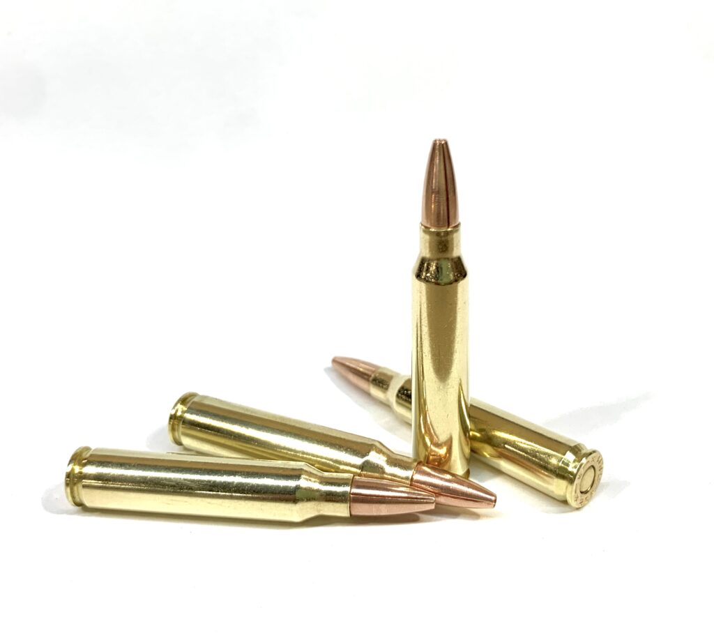 223 Remington 62gr. Solid Copper Hollow Point - Steinel Ammunition Co.