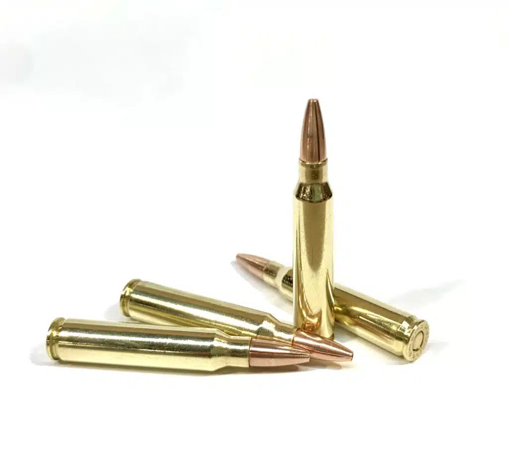 223 Remington 62gr. Solid Copper Hollow Point