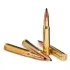 30-06 Springfield 168 gr SCHP Ammo