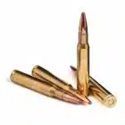 Steinel's 30-06 Hunting Ammo