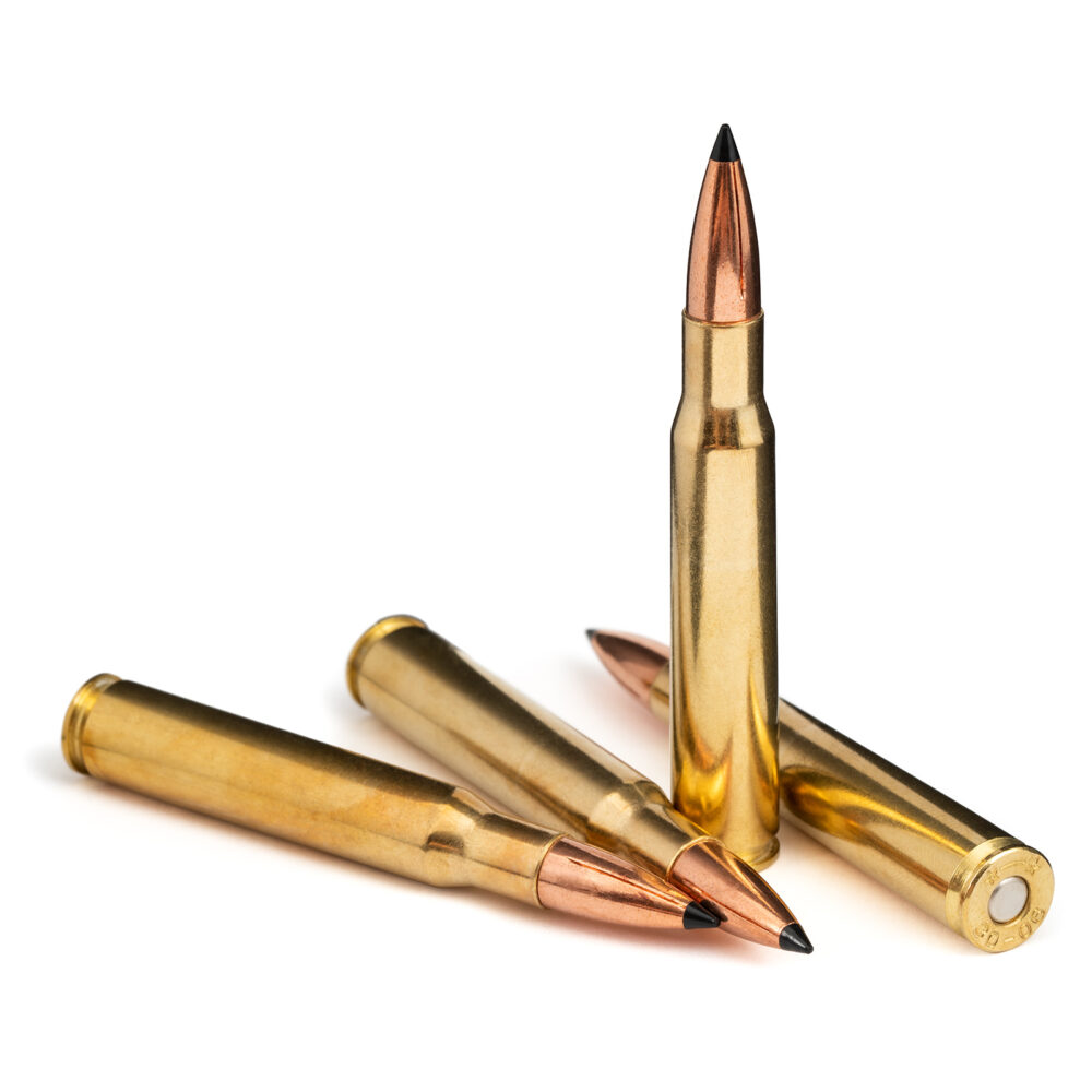 30-06 Springfield 168 Solid Copper Hollow Point - Steinel Ammunition Co.