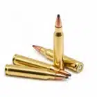 5.56x45 55gr Soft Point