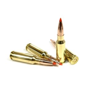 Steinel's 65 Grendel 95gr VMAX Ammo