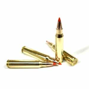 5.56x45 NATO 40gr. Ballistic Tip