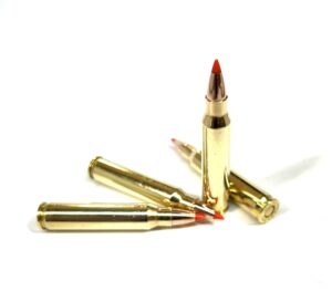 5.56 Nato VMAX 40gr Ammo