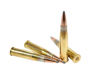 8 x 56R Mannlicher 200gr Jacketed Soft Point