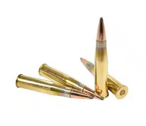 8 x 56R Mannlicher 200gr Jacketed Soft Point