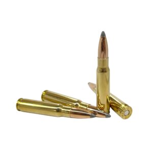 338 Federal 200gr Controlled Expansion Soft Point- 20 Rds