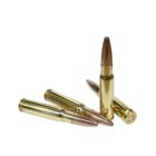 Steinel 338 Federal 165gr Ammo