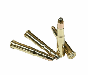 32 Winchester Special 170gr FN hunting ammunition from Steinel