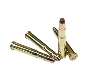 32 Winchester Special 170gr FN hunting ammunition from Steinel
