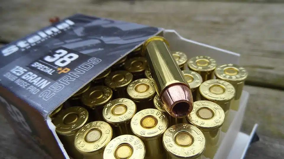 Steinel Ammo 125 grain 38 special