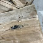 45-70 Government 777gr Lucky Ram bullet penetration in hardwood—deep channel showing subsonic stopping power