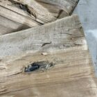 45-70 Government 777gr Lucky Ram bullet penetration in hardwood—deep channel showing subsonic stopping power