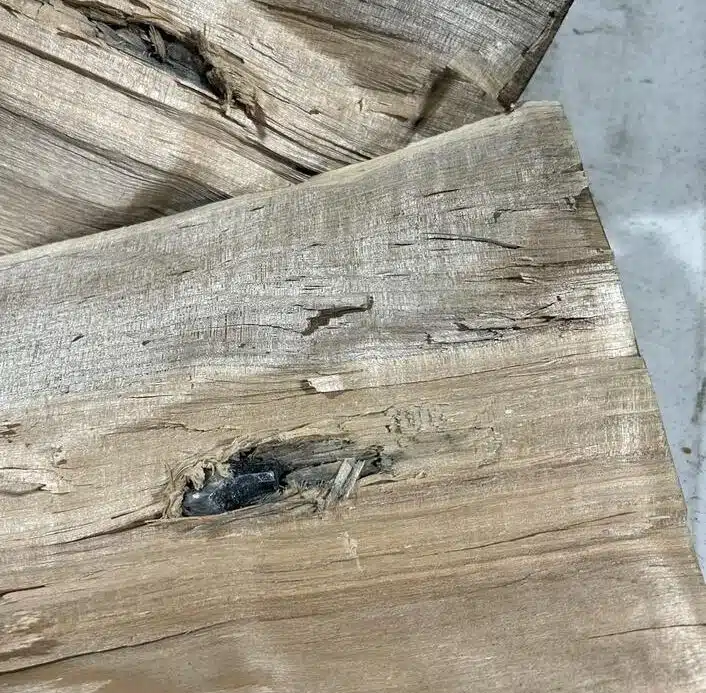 45-70 Government 777gr Lucky Ram bullet penetration in hardwood—deep channel showing subsonic stopping power