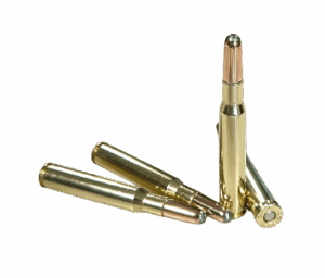 Four rounds of Steinel Heavy 220 grain hunting ammo for Bear, Moose, and Elk