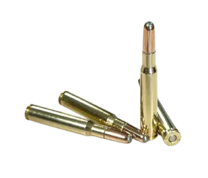 Four rounds of Steinel Heavy 220 grain hunting ammo for Bear, Moose, and Elk