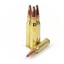 308 Winchester1