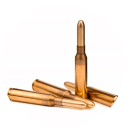 6.5x52 Carcano Ammo1