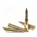8mm Lebel Ammo1