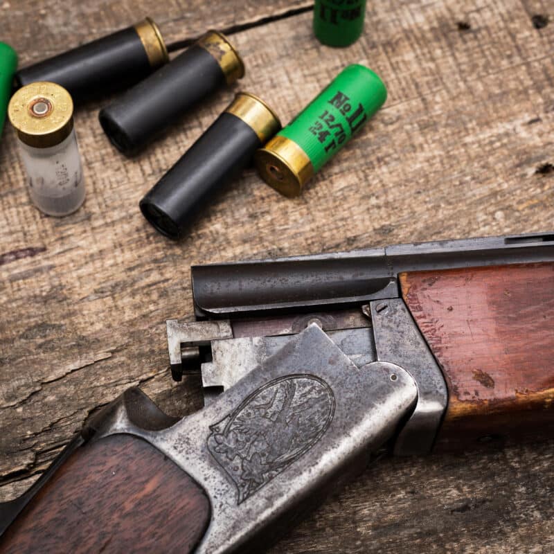 Shotgun Slug vs Buckshot: A Practical Breakdown for Serious Shotgun Owners