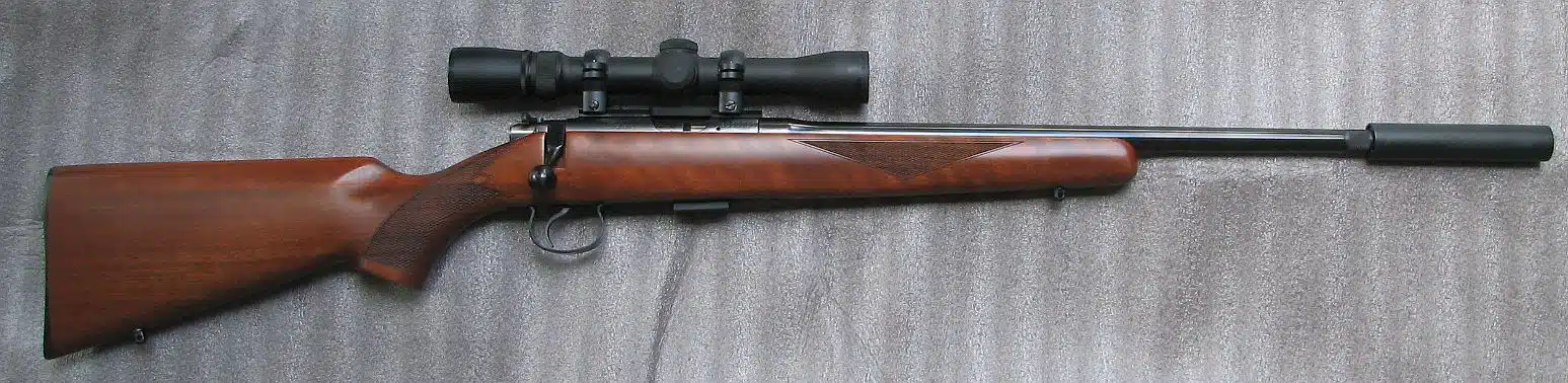 Hunting rifle with suppressor